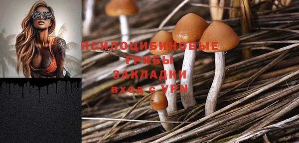 ПСИЛОЦИБИНОВЫЕ ГРИБЫ Алексеевка