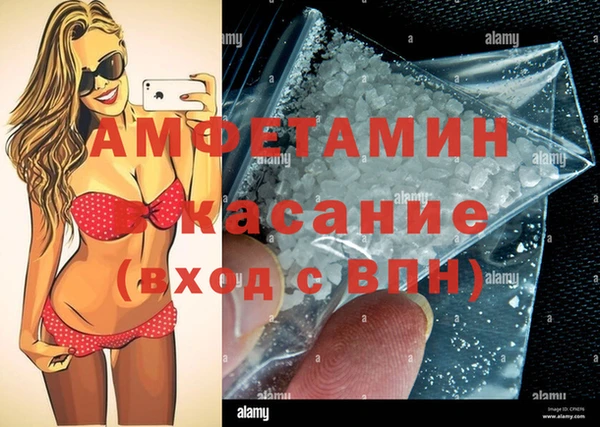 прущие грибы Алзамай