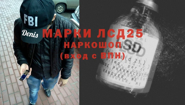 прущие грибы Алзамай