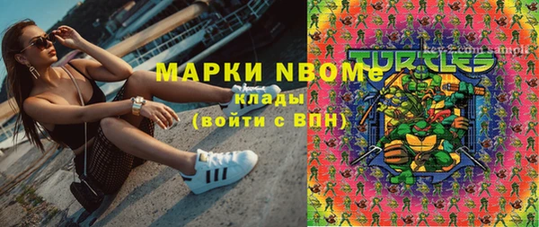 прущие грибы Алзамай